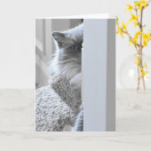 Ragdoll Katze, Karte (Gelbe Blume)