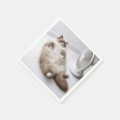 Ragdoll-Katze kühlt sich an einem Ventilator ab Serviette (Ecke)