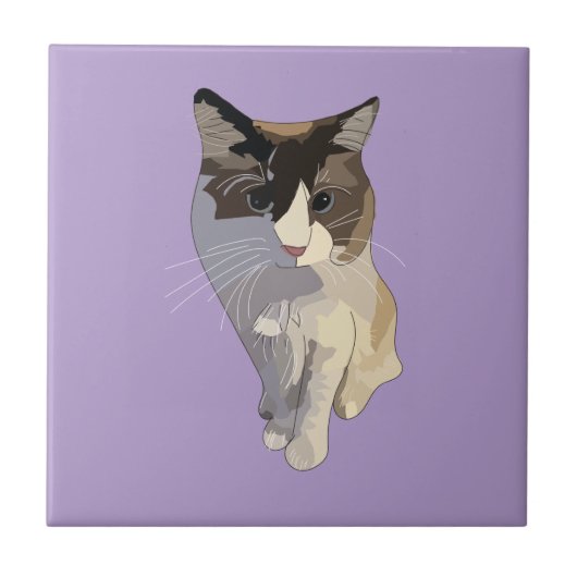Ragdoll-Katze, Lila Fliese (Vorderseite)