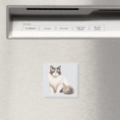 Ragdoll-Katze Magnet (In Situ (Geschirrspüler))