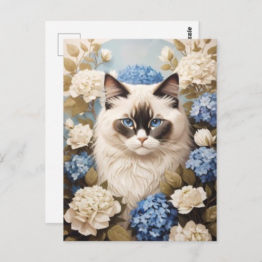 Ragdoll Katze mit Blue Hydrangea-Blume Postkarte (Vorne/Hinten)