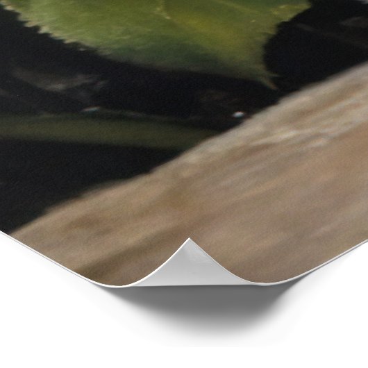 Ragdoll Katze mit Blume Whimsical Pet Poster (Ecke)