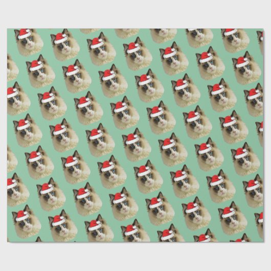 Ragdoll Katze mit einer Weihnachtsmannmütze Geschenkpapier (Flach)