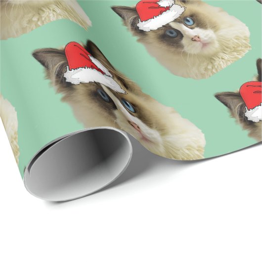 Ragdoll Katze mit einer Weihnachtsmannmütze Geschenkpapier (Rolleneckpunkt)