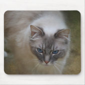 Ragdoll Katze Mousemat Mousepad (Vorne)