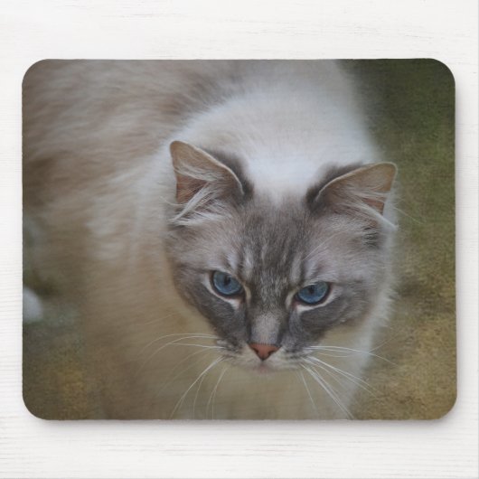 Ragdoll Katze Mousemat Mousepad (Vorne)