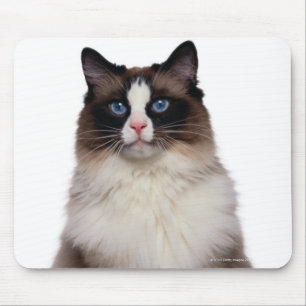 Ragdoll Katze Mousepad
