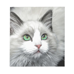 Ragdoll Katze Notizblock