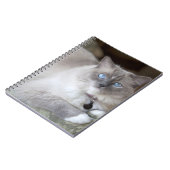 Ragdoll-Katze Notizblock (Linke Seite)