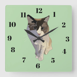 Ragdoll-Katze, pastellgrün, Bleiglas Quadratische Wanduhr