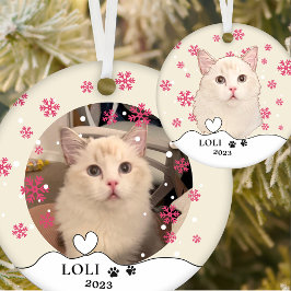 Ragdoll Katze Personalisiert Hand Zeichnend Keramik Ornament