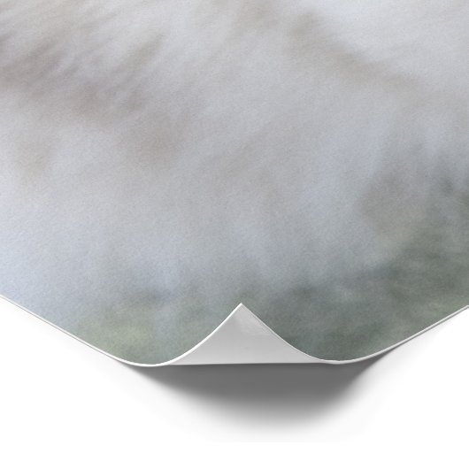 Ragdoll-Katze Poster (Ecke)