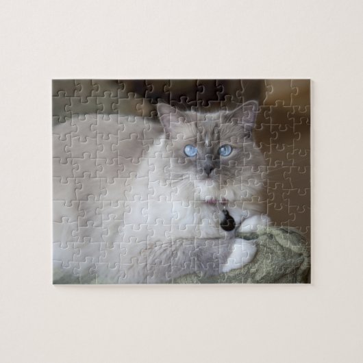Ragdoll-Katze Puzzle (Horizontal)