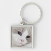 Ragdoll Katze Schlüsselanhänger (Vorne)