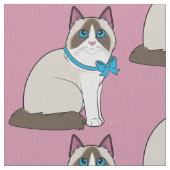 Ragdoll Katze Stoff (Nahaufnahme)