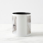 Ragdoll Katze Tasse (Zentrum)