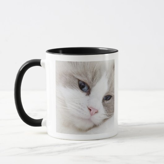 Ragdoll Katze Tasse (Links)