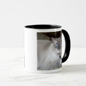 Ragdoll-Katze Tasse (VorderseiteRechts)