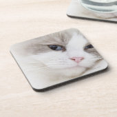 Ragdoll Katze Untersetzer (Linke Seite)