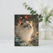 Ragdoll-Katze Weihnachten Postkarte (Stehend Vorderseite)
