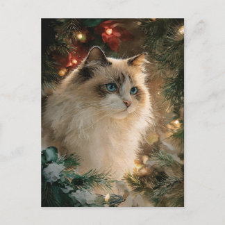 Ragdoll-Katze Weihnachten Postkarte