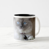 Ragdoll-Katze Zweifarbige Tasse (VorderseiteRechts)