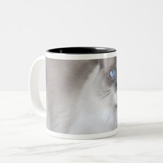 Ragdoll-Katze Zweifarbige Tasse (Vorderseite Links)
