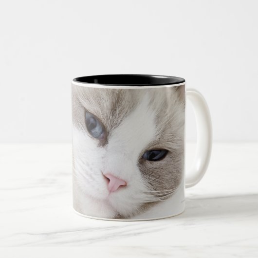 Ragdoll Katze Zweifarbige Tasse (VorderseiteRechts)