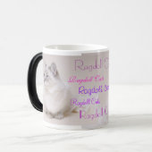 Ragdoll Katzen-GetränkeTasse Verwandlungstasse (Vorderseite Links)