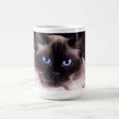 Ragdoll Katzen-Kaffee-Tasse Kaffeetasse (Mittel)