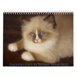 Ragdoll Katzen-Kalender Kalender