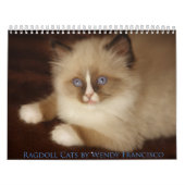 Ragdoll Katzen-Kalender Kalender (Titelbild)