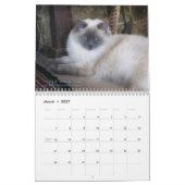 Ragdoll Katzen-Kalender Kalender (Mär 2027)
