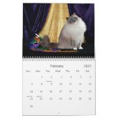 Ragdoll Katzen-Kalender Kalender (Feb 2027)