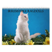 Ragdoll Katzen-Kalender Kalender (Titelbild)