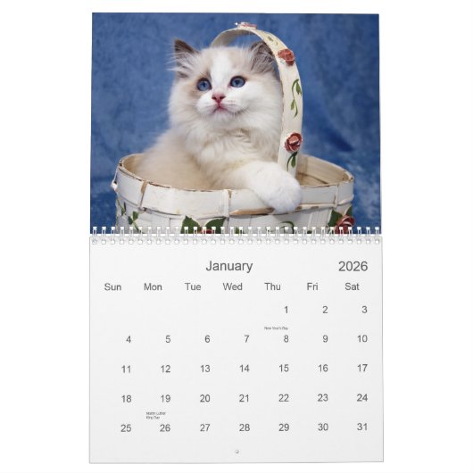 Ragdoll Katzen-Kalender Kalender (Jan 2026)