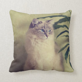 Ragdoll Katzen-Kissen Kissen
