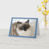 Ragdoll Katzen-Porträt-Gruß-Karte Karte (Gelbe Blume)