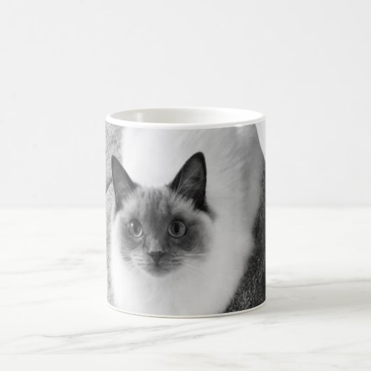 Ragdoll Katzen-Tasse Kaffeetasse (Mittel)