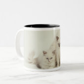 Ragdoll Katzenfrau mit Kätzchen Zweifarbige Tasse (Vorderseite Links)
