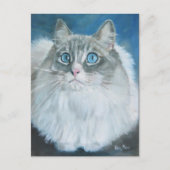 Ragdoll Katzenölmalerei Postkarte (Vorderseite)
