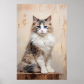Ragdoll Katzenportrait Poster (Vorne)
