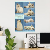 Ragdoll-Kinderposter Poster (Heimbüro)