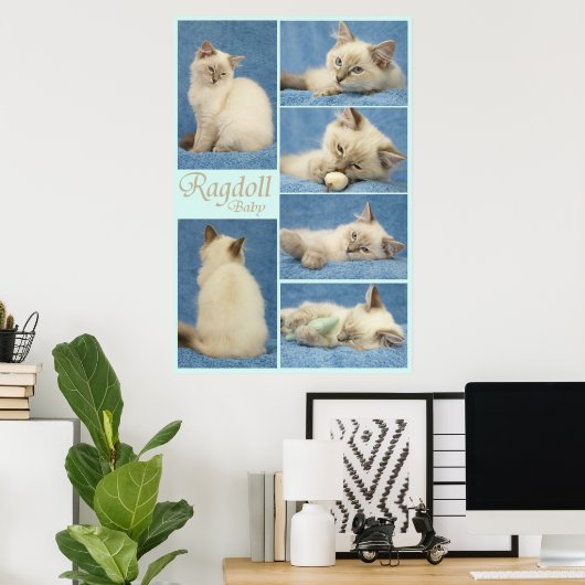Ragdoll-Kinderposter Poster (Heimbüro)