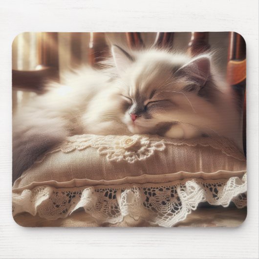 Ragdoll Kitten auf einem Kissen Mousepad (Vorne)