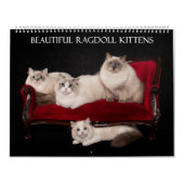 Ragdoll Kitten Calendar Kalender (Titelbild)