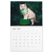Ragdoll Kitten Calendar Kalender (Mär 2027)