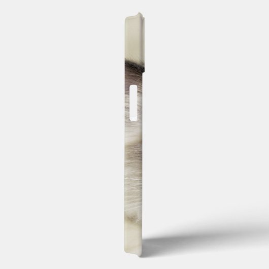 Ragdoll Kitten Case-Mate iPhone Hülle (Rückseite / Rechts)