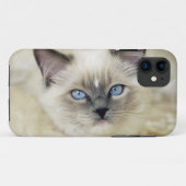 Ragdoll Kitten Case-Mate iPhone Hülle (Rückseite (Horizontal))