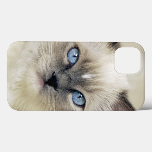 Ragdoll Kitten Case-Mate iPhone Hülle (Rückseite (Horizontal))